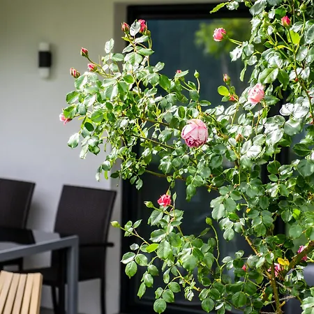 Apartament Alpenweiss